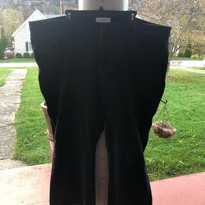 Lane Bryant Jeans